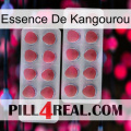 Kangaroo Essence 19